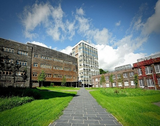 伦敦城市大学