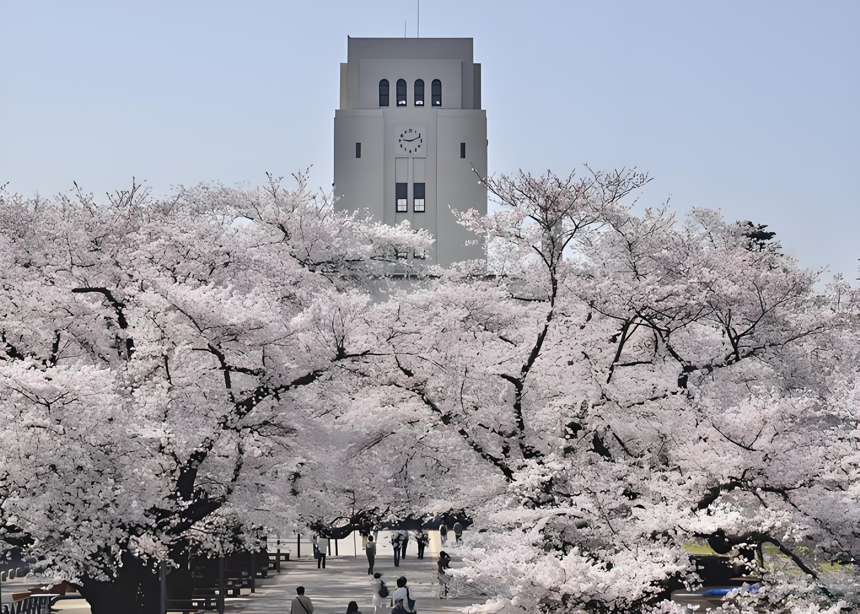 上海日本修士直考辅导详解：TOP5名校师资一对一教学